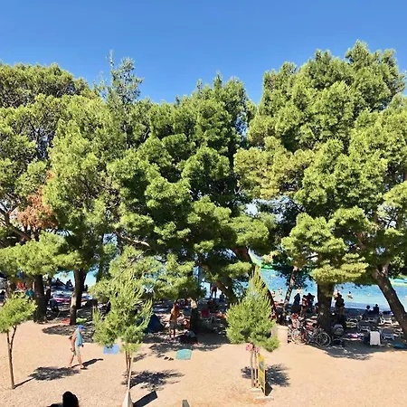 Luxury Alexandar Makarska