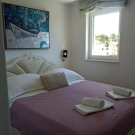 Luxury Alexandar