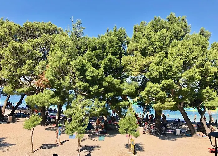 Luxury Alexandar Makarska