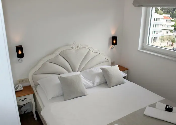 Luxury Alexandar Daire